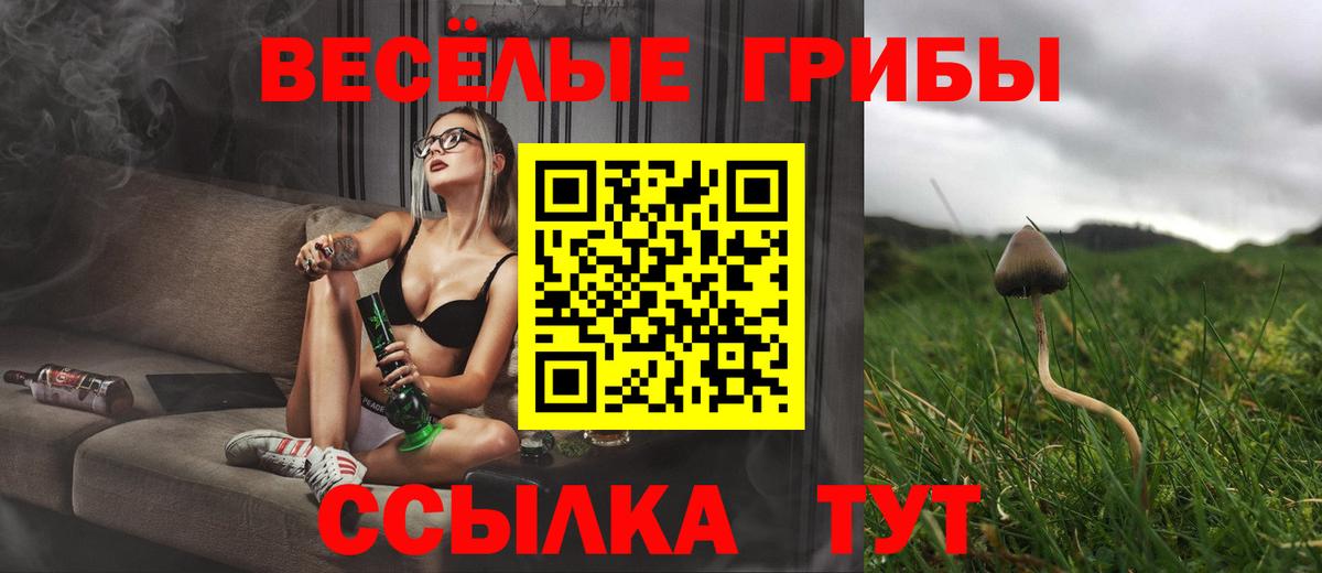 Галлюциногенные грибы прущие грибы Великий Устюг