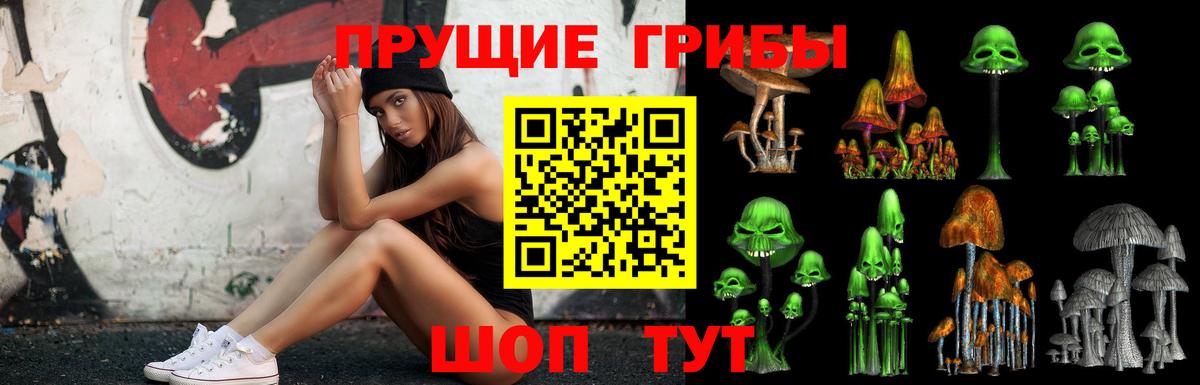 Псилоцибиновые грибы ЛСД  Вход с VPN  Галлюциногенные грибы ЛСД  Великий Устюг 
